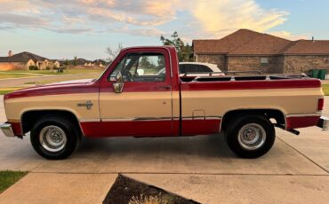 Chevrolet-C-10-1984-5