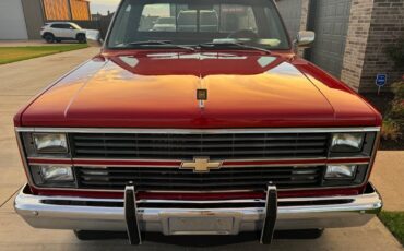 Chevrolet-C-10-1984-8