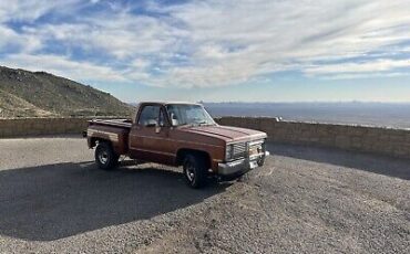 Chevrolet-C-10-1987-9