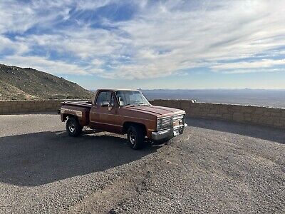 Chevrolet-C-10-1987-9