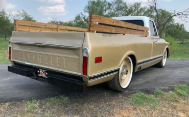 Chevrolet-C-10-Pickup-1969-5