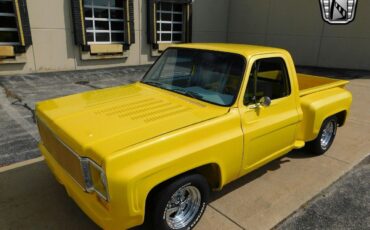 Chevrolet-C-10-Pickup-1976-2