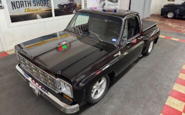 Chevrolet-C-10-Pickup-1977-29