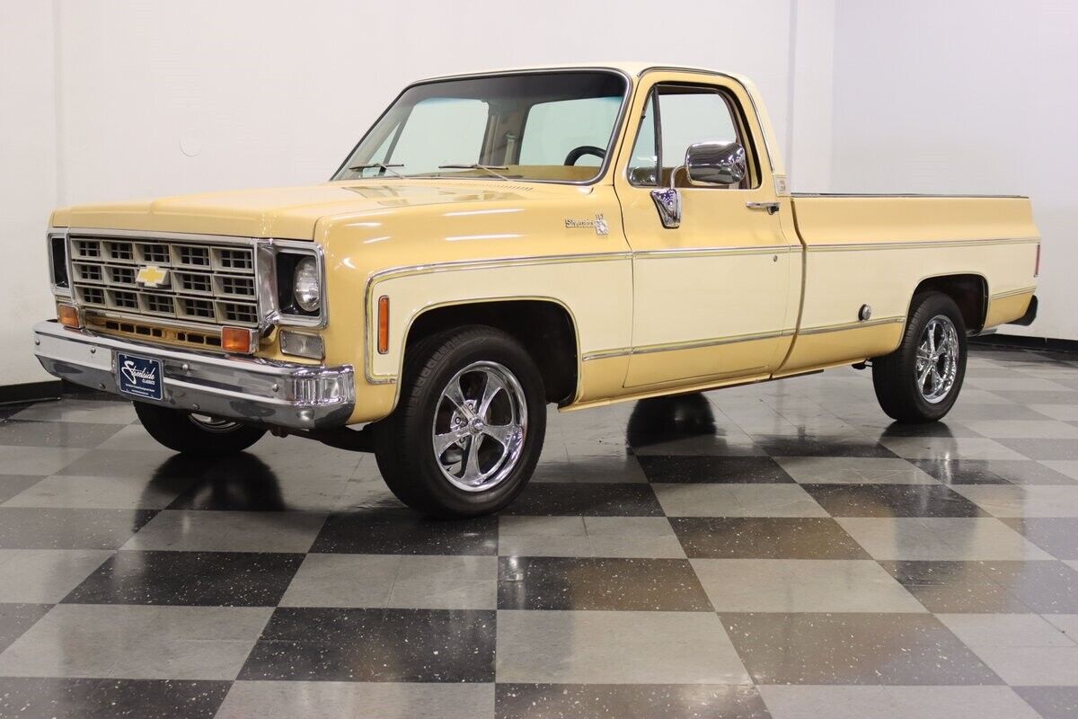 Chevrolet-C-10-Pickup-1977-5