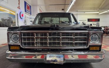 Chevrolet-C-10-Pickup-1977-6