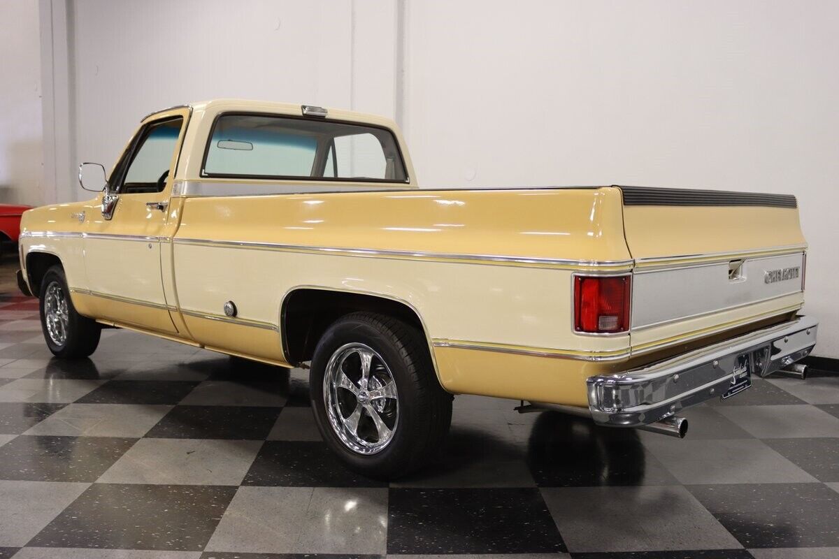 Chevrolet-C-10-Pickup-1977-6