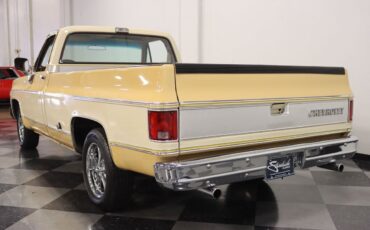 Chevrolet-C-10-Pickup-1977-7