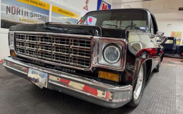 Chevrolet-C-10-Pickup-1977-8