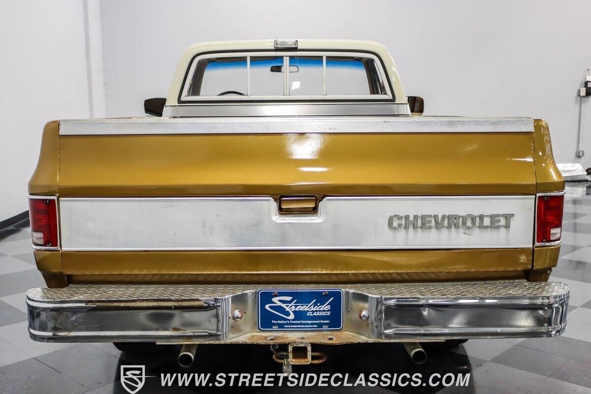 Chevrolet-C-10-Pickup-1979-10