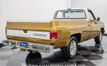 Chevrolet-C-10-Pickup-1979-11