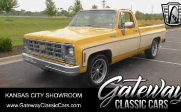 Chevrolet C-10 Pickup 1979