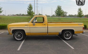 Chevrolet-C-10-Pickup-1979-2