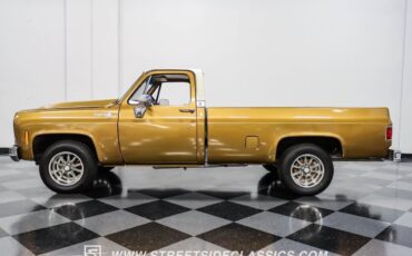 Chevrolet-C-10-Pickup-1979-2