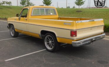 Chevrolet-C-10-Pickup-1979-3