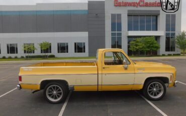 Chevrolet-C-10-Pickup-1979-6