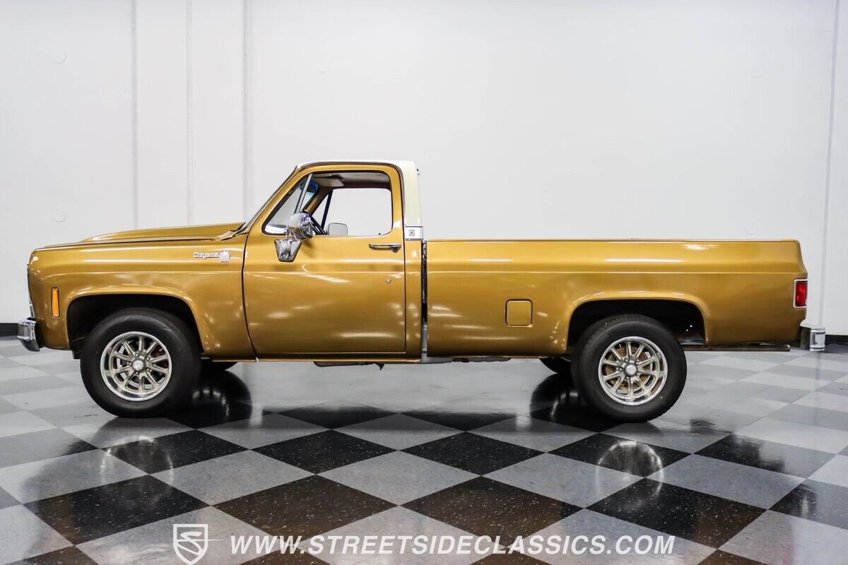 Chevrolet-C-10-Pickup-1979-6