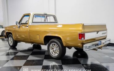 Chevrolet-C-10-Pickup-1979-7