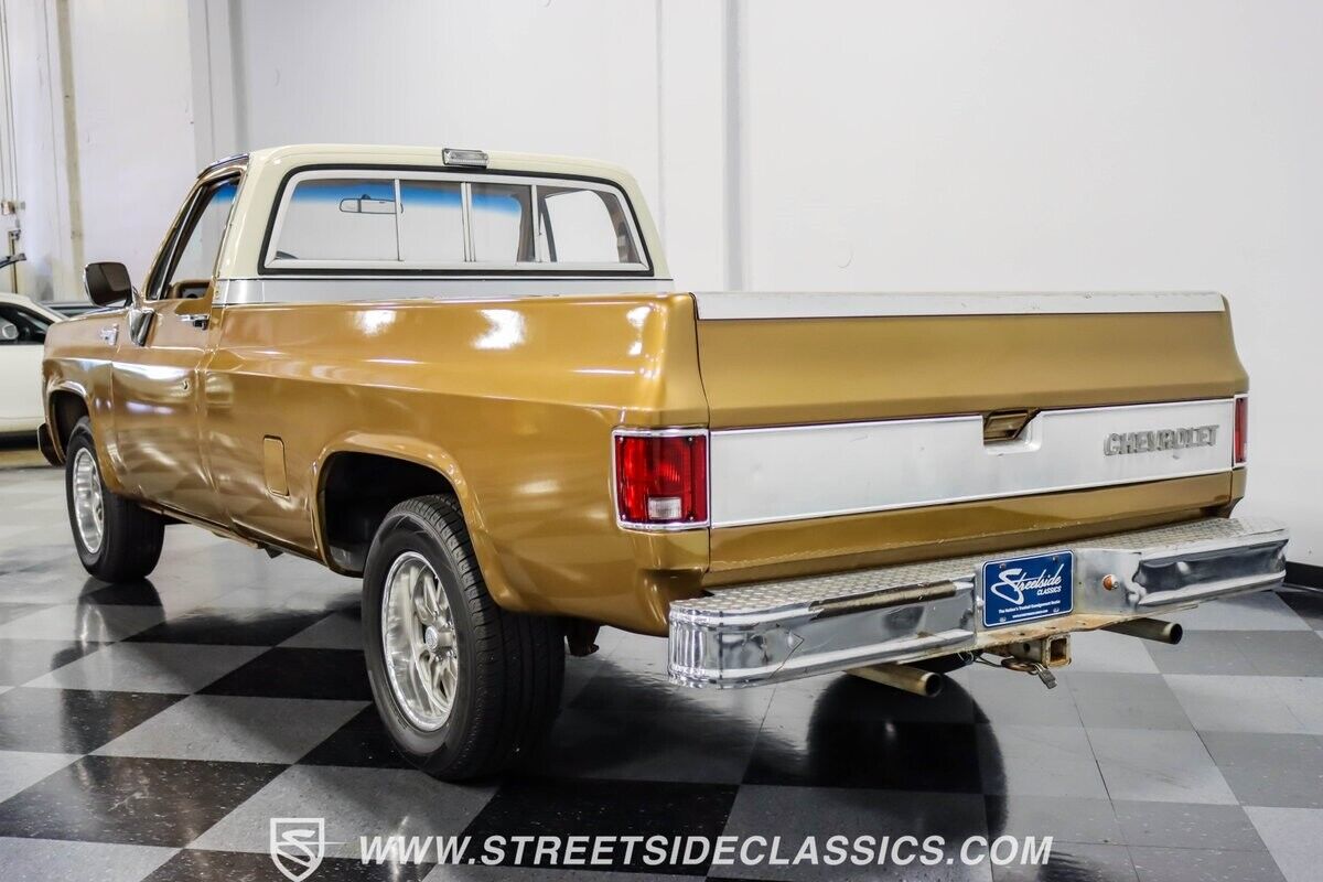 Chevrolet-C-10-Pickup-1979-9