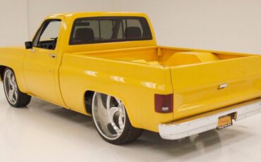 Chevrolet-C-10-Pickup-1980-4