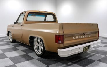 Chevrolet-C-10-Pickup-1980-4