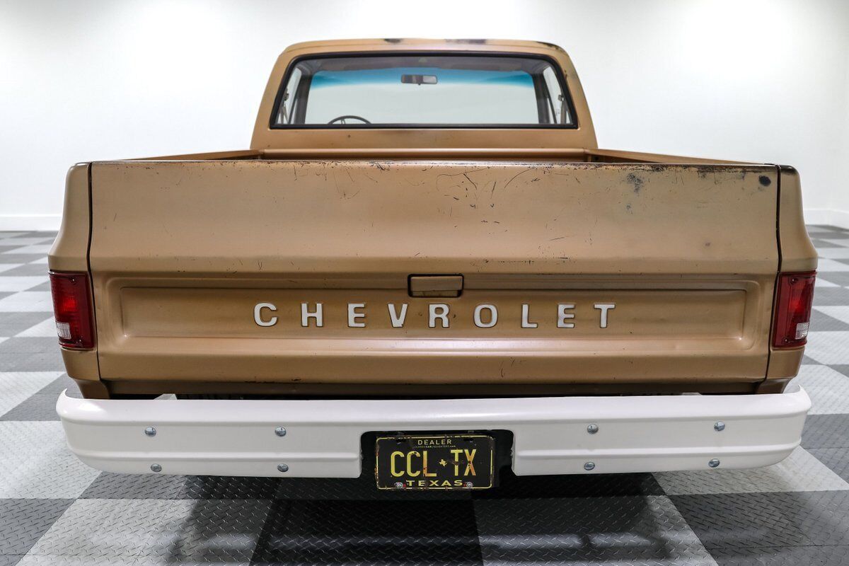 Chevrolet-C-10-Pickup-1980-5