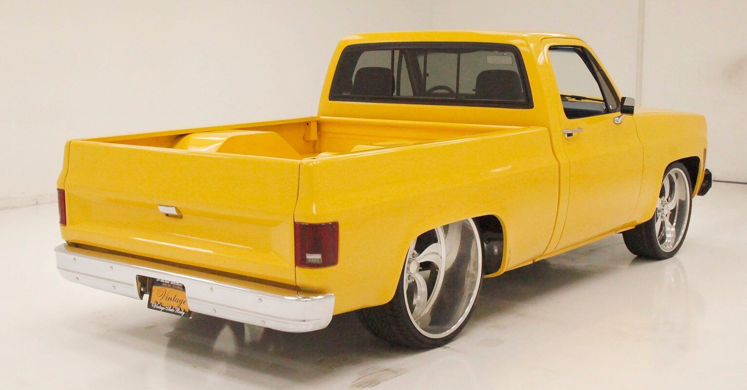 Chevrolet-C-10-Pickup-1980-6