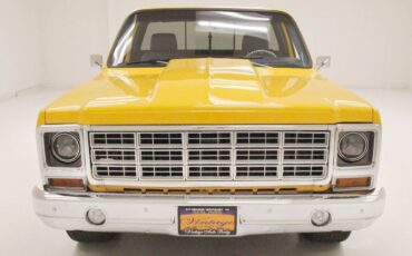 Chevrolet-C-10-Pickup-1980-9