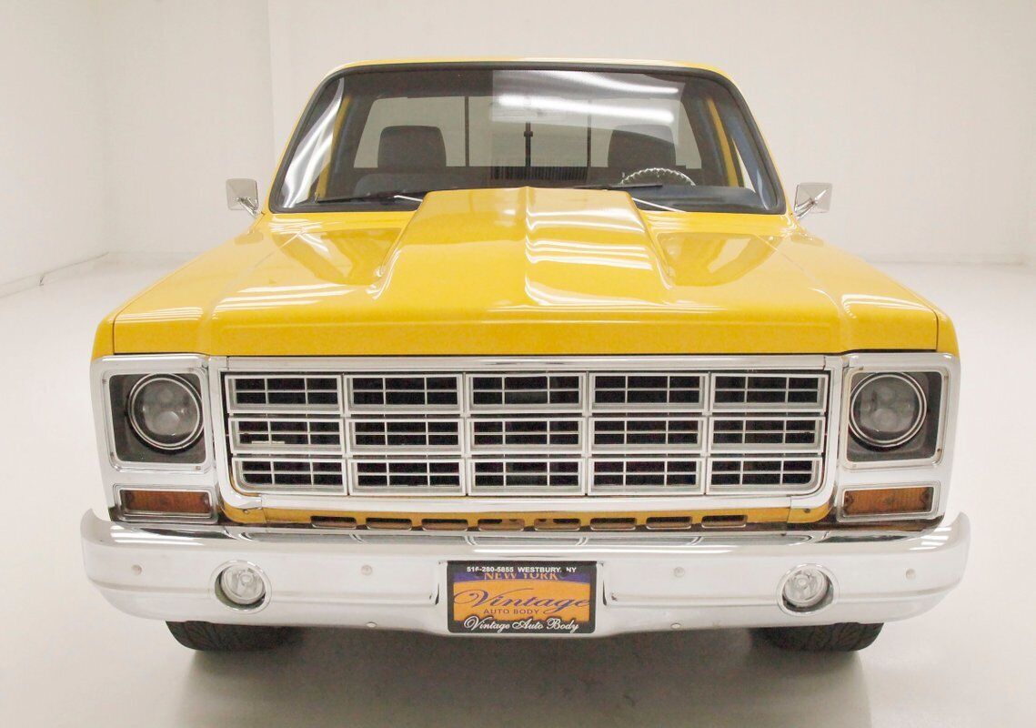 Chevrolet-C-10-Pickup-1980-9