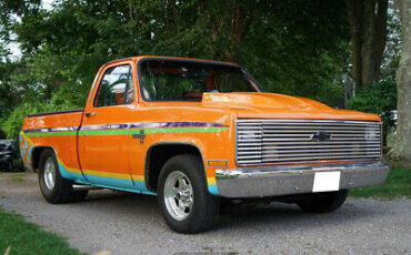 Chevrolet-C-10-Pickup-1981-11