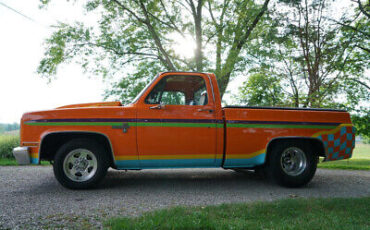 Chevrolet-C-10-Pickup-1981-2