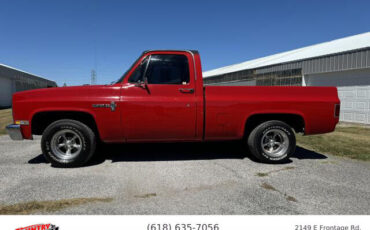 Chevrolet-C-10-Pickup-1982-3