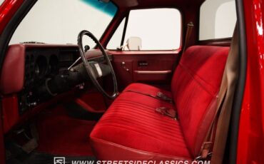 Chevrolet-C-10-Pickup-1982-4