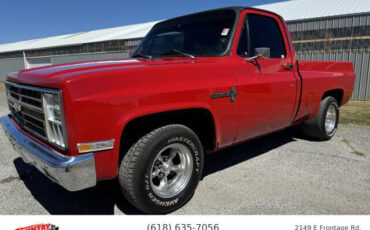 Chevrolet-C-10-Pickup-1982-4