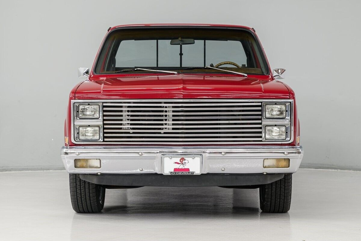 Chevrolet-C-10-Pickup-1982-4