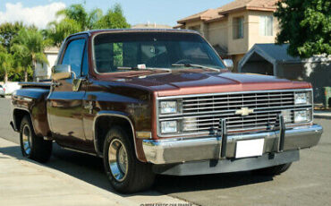 Chevrolet-C-10-Pickup-1983-11