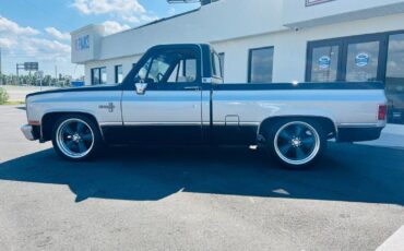 Chevrolet-C-10-Pickup-1983-2