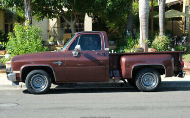 Chevrolet-C-10-Pickup-1983-2