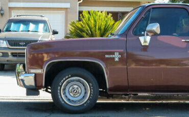 Chevrolet-C-10-Pickup-1983-3