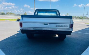 Chevrolet-C-10-Pickup-1983-4