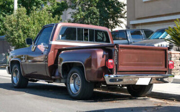 Chevrolet-C-10-Pickup-1983-5