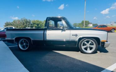 Chevrolet-C-10-Pickup-1983-6