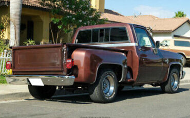 Chevrolet-C-10-Pickup-1983-7