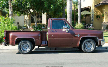 Chevrolet-C-10-Pickup-1983-8