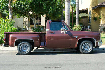 Chevrolet-C-10-Pickup-1983-8