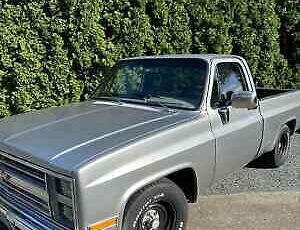 Chevrolet-C-10-Pickup-1984-3