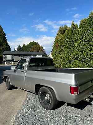 Chevrolet-C-10-Pickup-1984-4