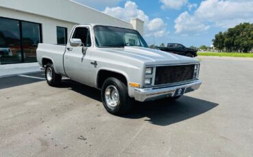 Chevrolet-C-10-Pickup-1985-1