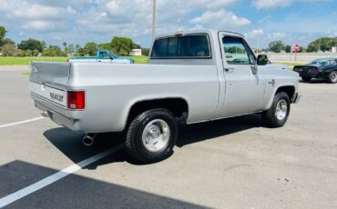 Chevrolet-C-10-Pickup-1985-3