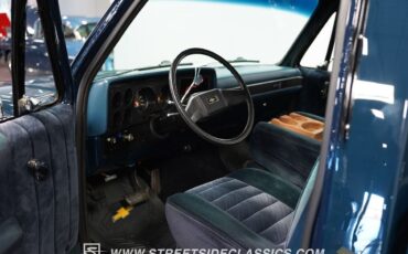 Chevrolet-C-10-Pickup-1985-4