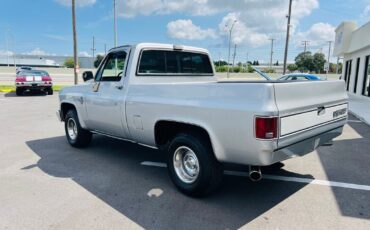 Chevrolet-C-10-Pickup-1985-5